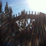 Dinosaur at Discovery Science Center